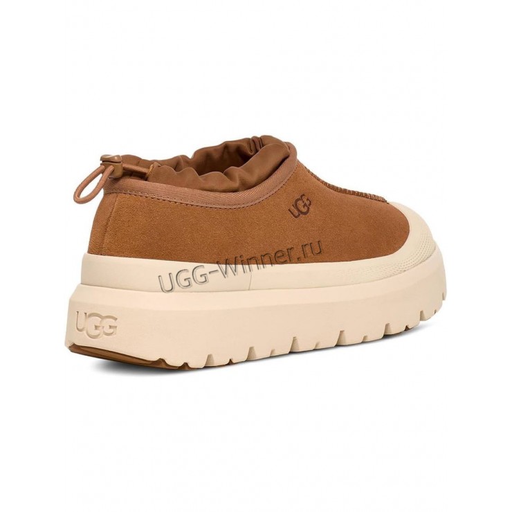 UGG Tasman Weather Hybrid Chestnut/Whitecap